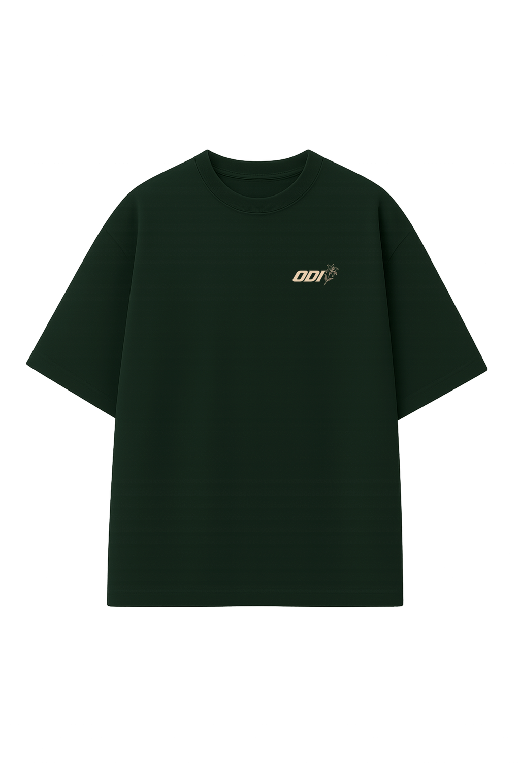 Camiseta Oversize TASTE